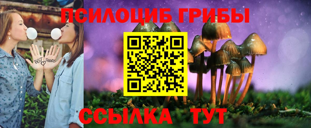 Псилоцибиновые грибы мухоморы Назрань